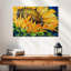 Tournesol Harnek - septembre-107716463