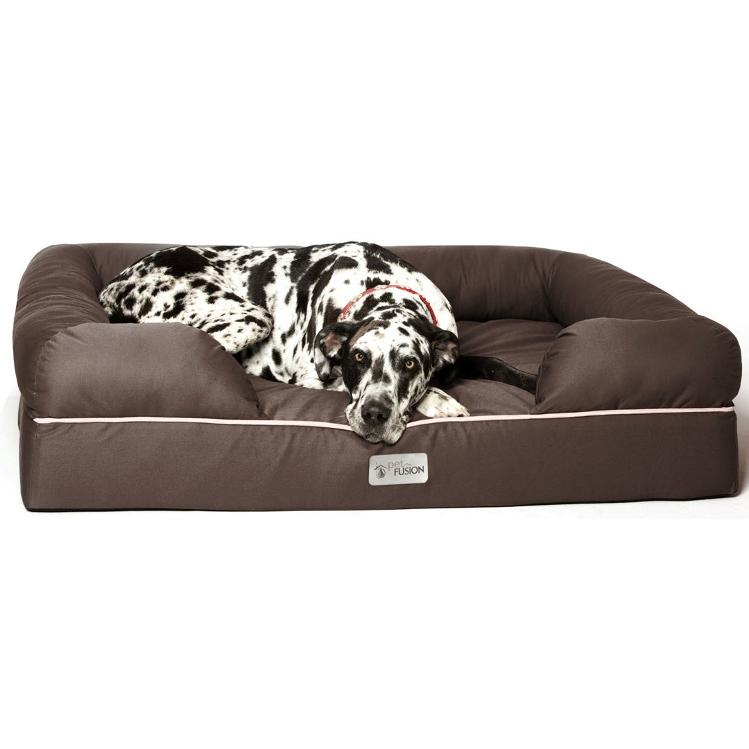 Orthopedic Polyester Pet Bed PetFusion Color: Brown Size: Jumbo (50" W x 40" D x 13" H)