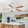 Lieschen 52'' Ceiling Fan with LED Lights