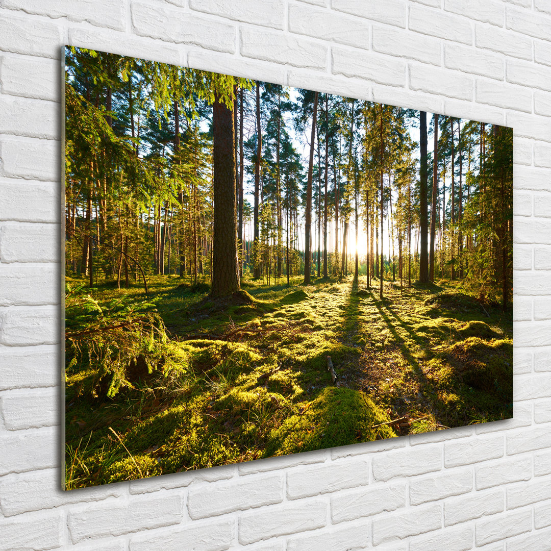 Glasbild A Pine Forest