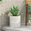 MGO PLANT-276190935