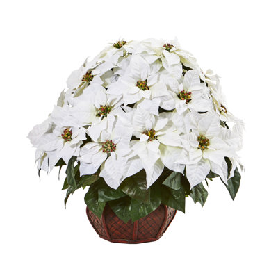 Poinsettia Arrangement in Planter