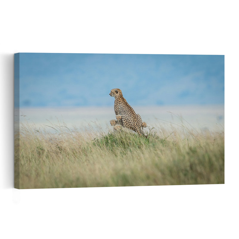 Cheetah Family Watch Abstract Contemporary Cat Animal Landscape Wall Art Print by Jeffrey C. Sink - 1 Piece Wrapped Canvas Wall Art