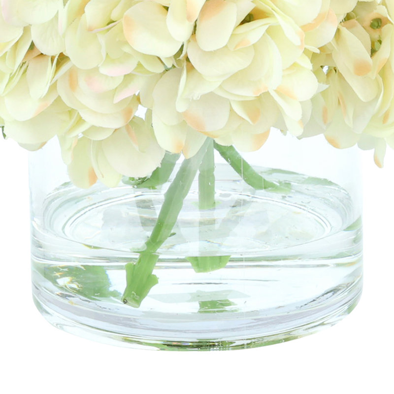 Hydrangeas Arranged in a Glass Vase, Cream