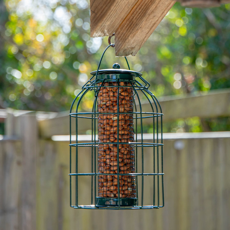 Caziyah Metal Hanging