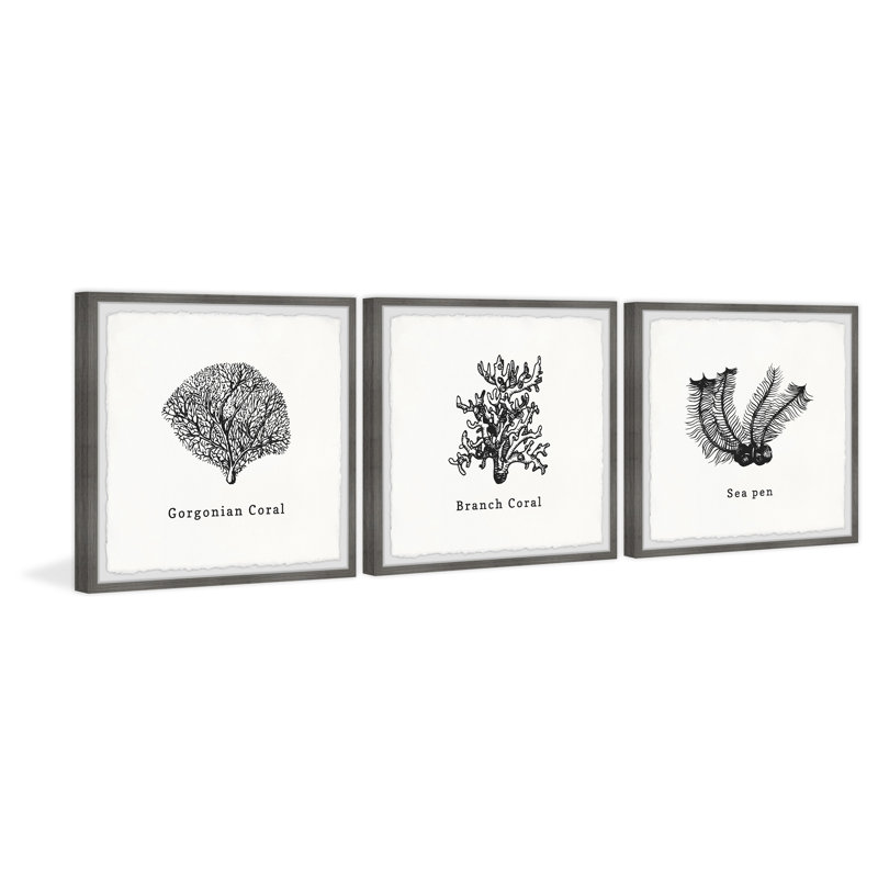 Warminster Sea Pen by Marmont Hill - 3 Piece Print Set, 30cm H x 90cm W x 3.81cm D