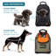  Sac à dos pour animaux de compagnie Hoomans + Paws Adventure-Ready avec ventilation, base renforcée et boucles de fixation-273139972