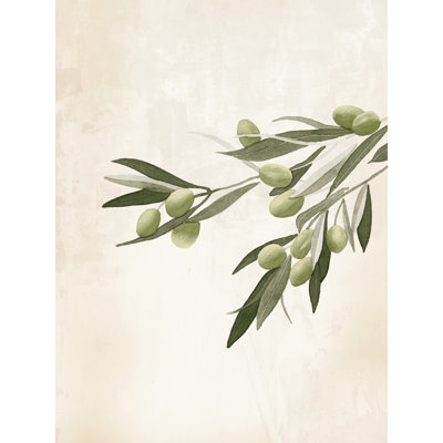" Olive Branch With Green Olives "