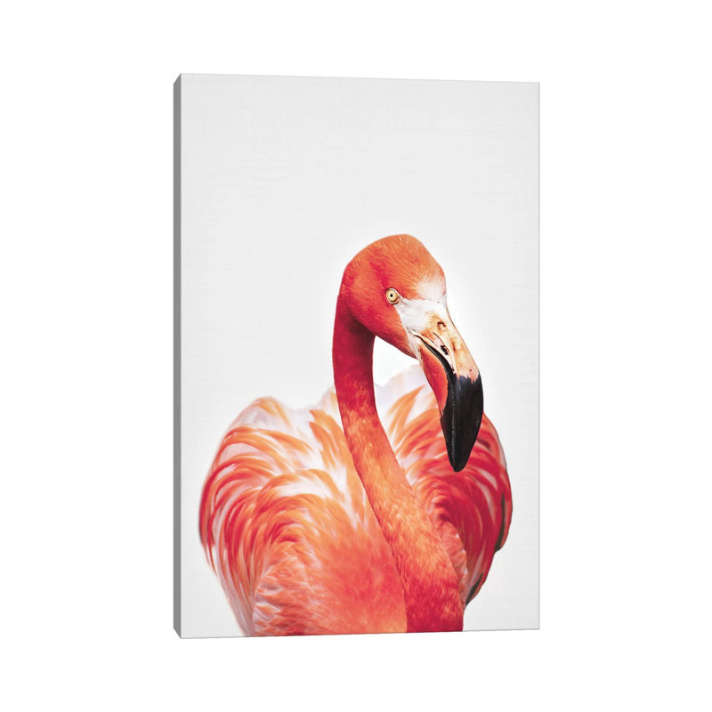 Flamingo 1 Piece Wrapped Canvas Wall Art, 66.04 cm H x 45.72 cm W