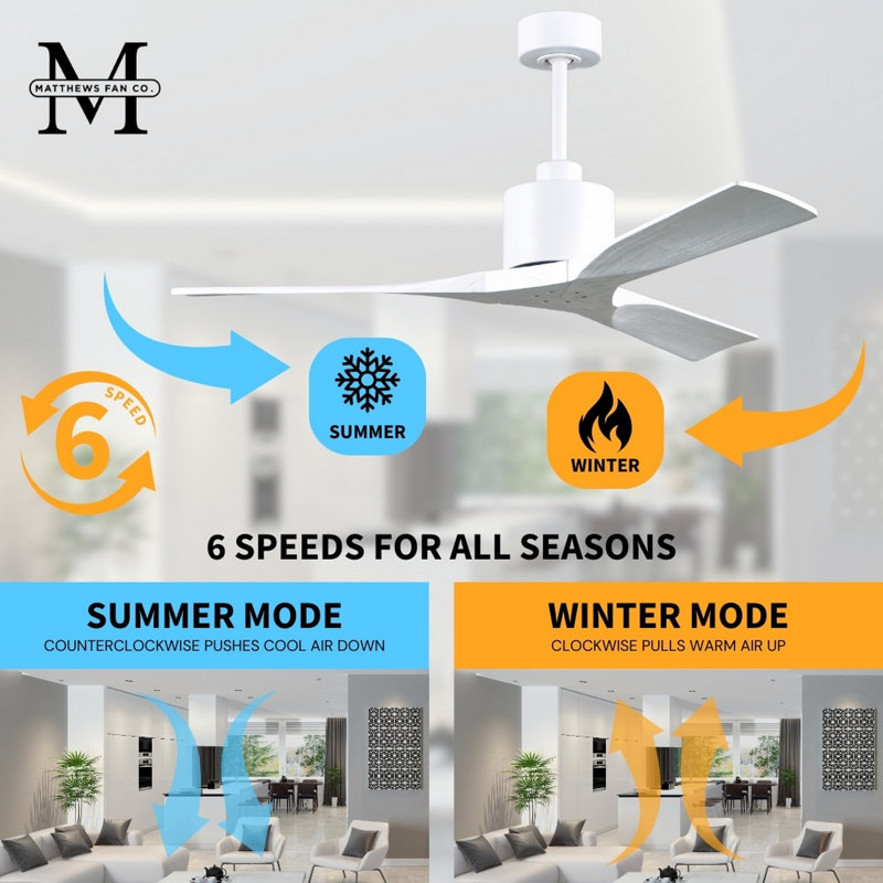 Nan 42" Ceiling Fan In Blades, Matte White, Matte White