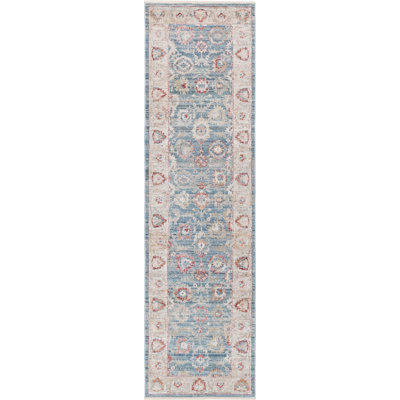 Areonia Traditional Blue Area Rug