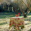 Jardine Tablecloth-1083597347-1101836604