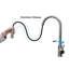 Belfry Bathroom Gaelan Pull Out Kitchen Faucet