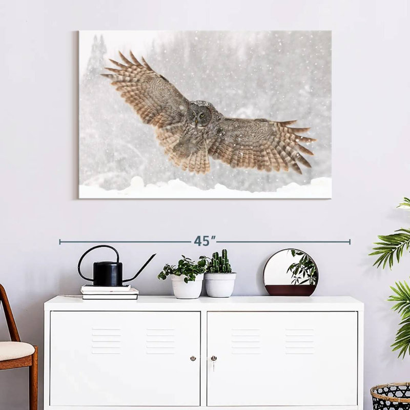 Brampt Blizzard Owl, 26" H x 39" W