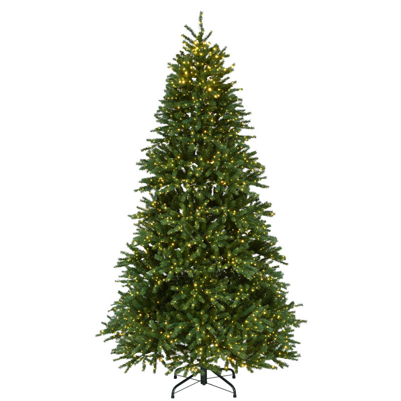 Sapin Fraser 7,5 pi avec lumières DEL bicolores Infinity