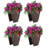 Quindarrius Outdoor Railing Planter-194092695