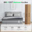 Matelas en mousse viscoélastique hybride pour grand lit 12 po dans une boîte, ressorts ensachés individuels pour l'isolation des mouvements, un sommeil silencieux et un soulagement de la pression-1690222995-1690222993