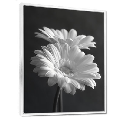 Monochromes noir et blanc «Bliss Daisy Photo I» - impression d'art mural marguerites