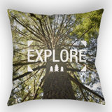 Indoor/Outdoor Throw Pillow