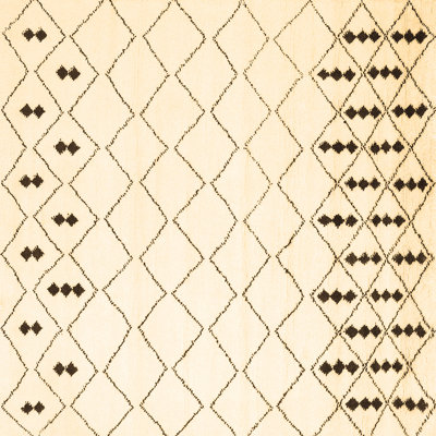 Washable Indoor Rug