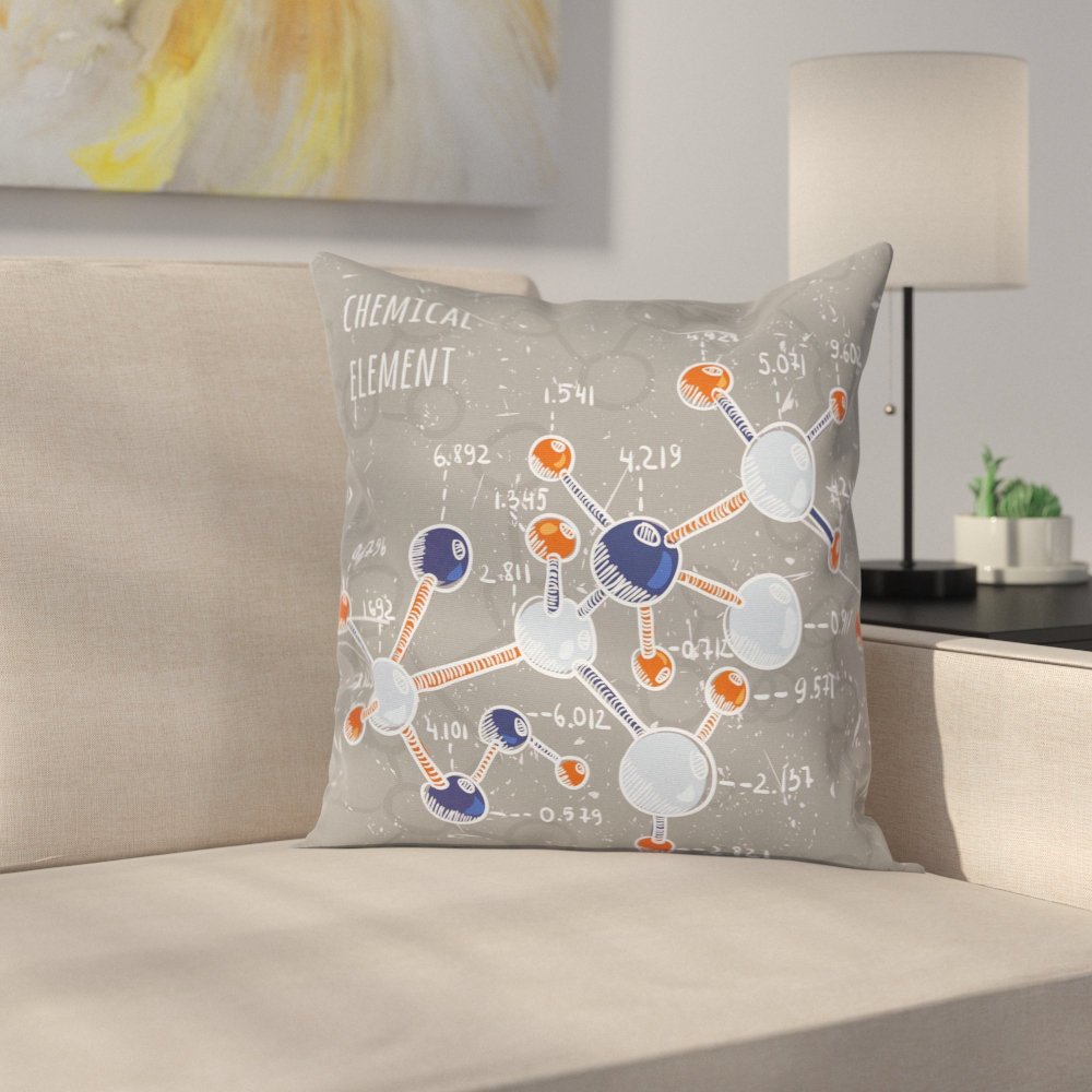 Grunge Formula Science Graphic Cushion Pillow Cover Ambesonne 