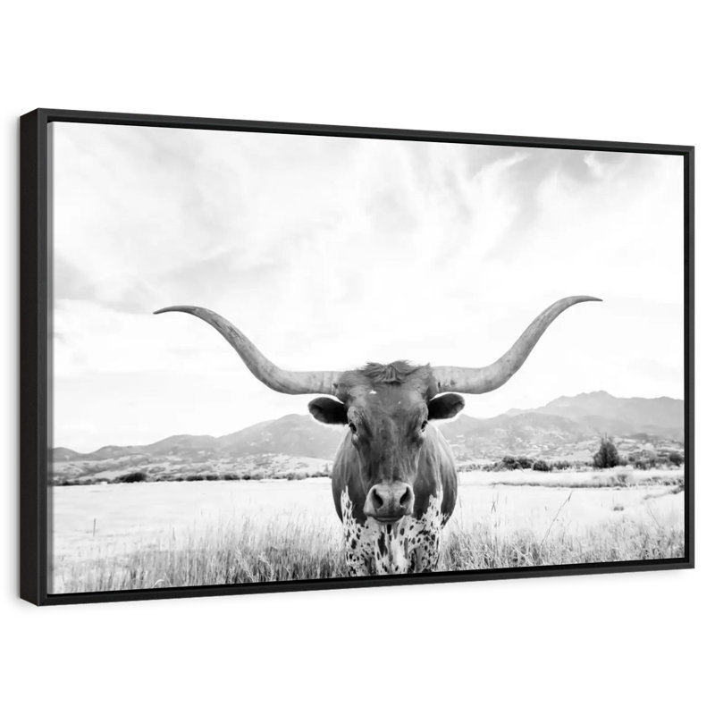 Longhorn Texas BW, Cadre flottant noir, 43 po x 29 po