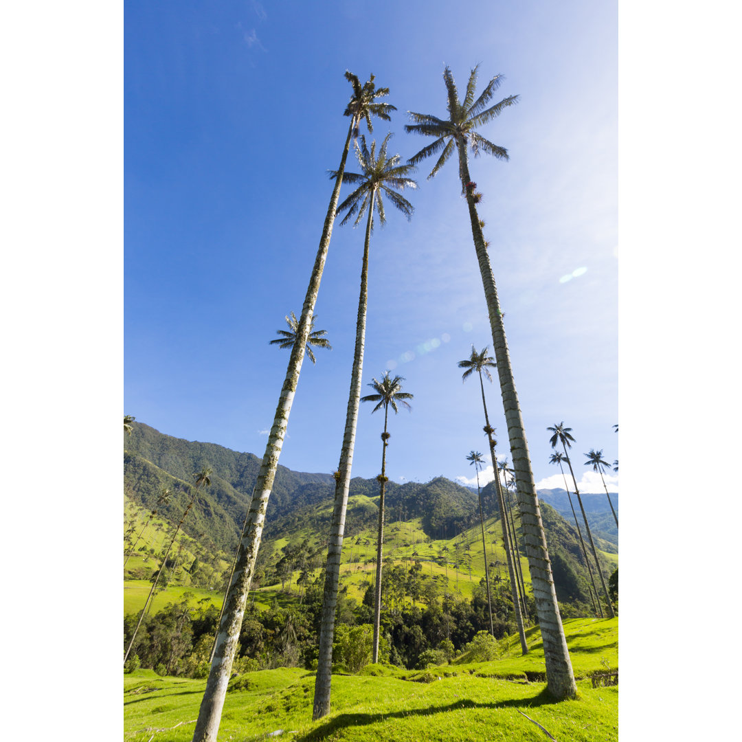 Cocora Valley von Piccaya - Leinwandfoto im Wickel