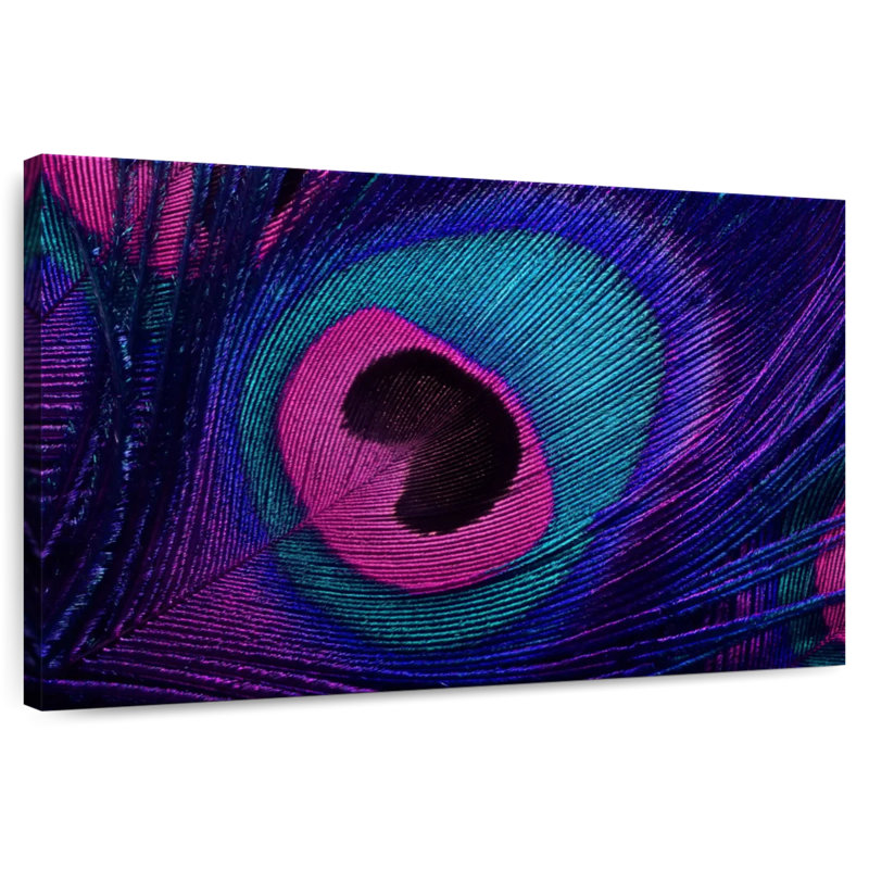 Brampt Tail Eyespot Of Peacock, 16" H x 24" W