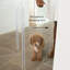 Clear Wall Mounted Low Zig Zag Pet Gate with Latch-411335331-411104789