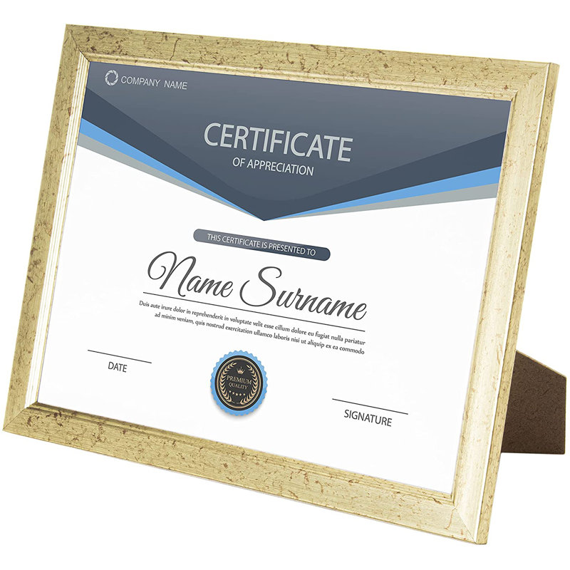Picture Frame - Set of 12, Gold