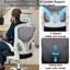Ludovica 52 cm Wide High Back Mesh Ergonomic Office Chair With Adjustable Headrest, Armrest, Lumbar-383779404