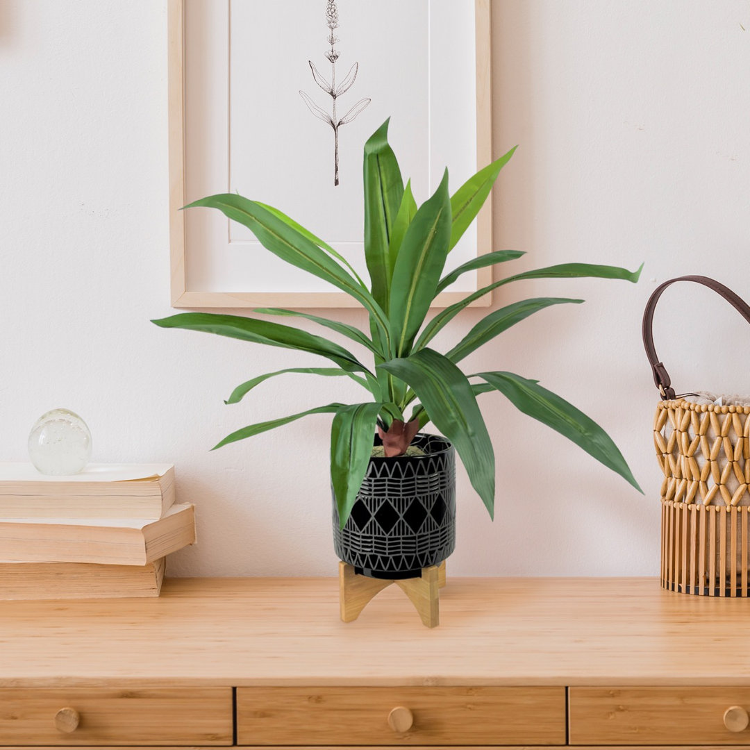 26'' Faux Dracaena Plant in Pot Mercury Row®