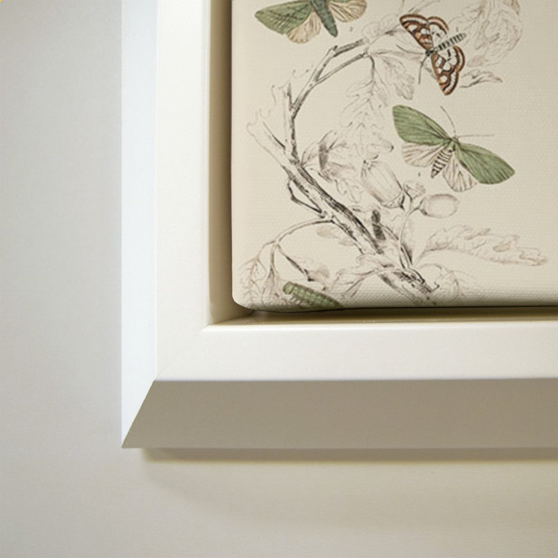 Mariposas I par V. Larkspar - Impression sur toile, 64" H x 44" W, White