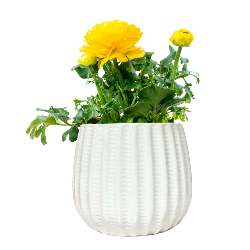 5.5" Ceramic Flower Planter, Ceramic Pot Planter, Plant Home Décor,, Cream