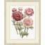 Blush Florals 4 Painting
