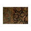 Wool Oriental Area Rug