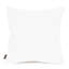 Square Indoor/Outdoor Pillow Cover & Insert-851729727