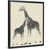 Black Floating Frame Canvas