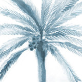 Palm Palms I Print by Barclay Butera