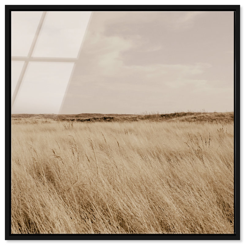 Golden Nature Print by Oliver Gal, 41" H x 41" W, Black Floater Frame