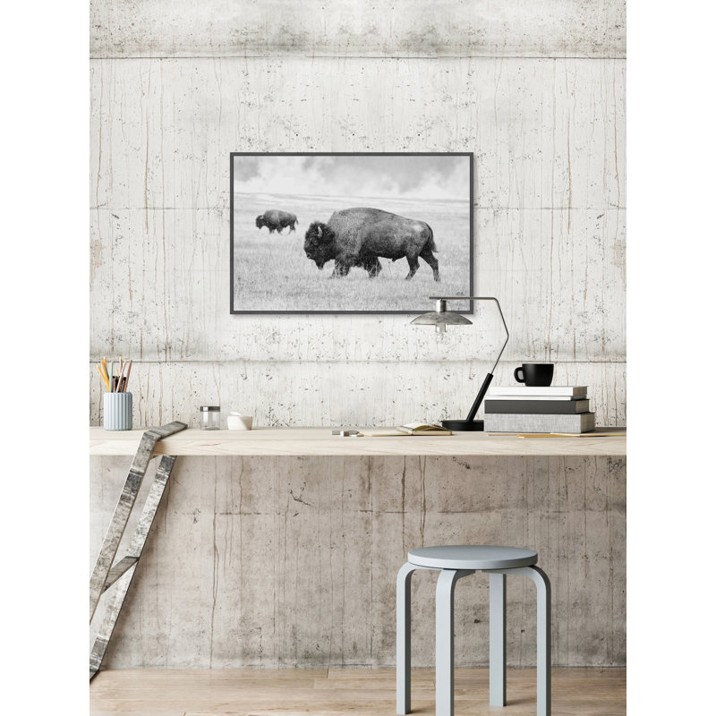 «Buffalo pair», reproduction sur toile encadrée, H 20 po x l 30 po x P 1,5 po
