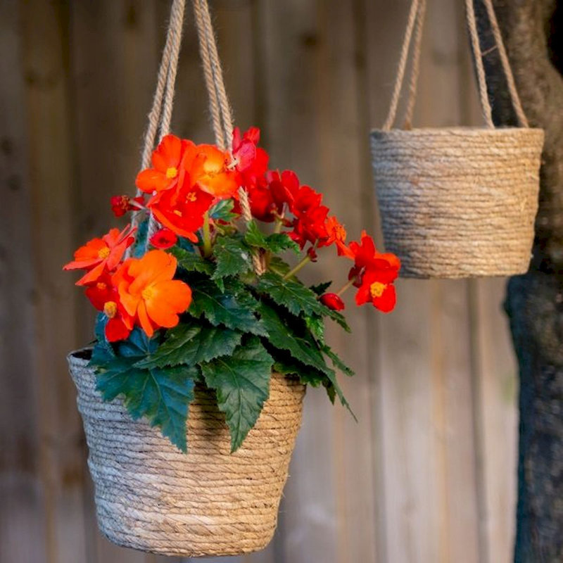 Bayou Breeze Wicker Decorative Basket