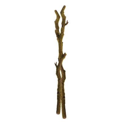 BRANCHES MOUSSE 24 po, ENSEMBLE DE 2