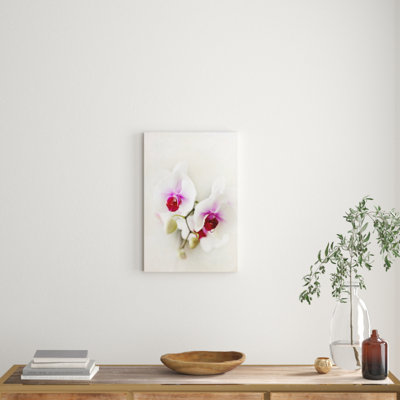 Sylvia Cook - Wrapped Canvas Print