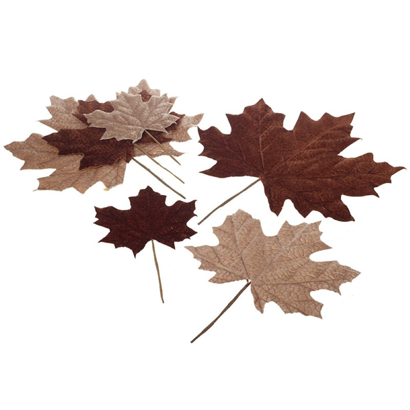 Decorative Autumn Leaf Set