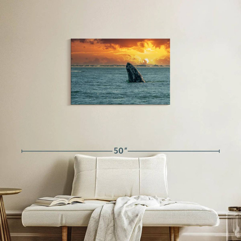 Baleine grise Brampt, H 20 po x l 30 po