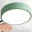 Flush Mount