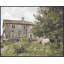 Summer In French Farmlands 2 Print