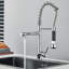 Belfry Kitchen Almena Pull Down Kitchen Faucet
