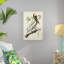 Brown Pelican by James Audubon - Painting Print-1400600338-1458093716